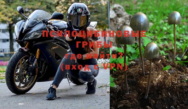 ALPHA PVP Балахна