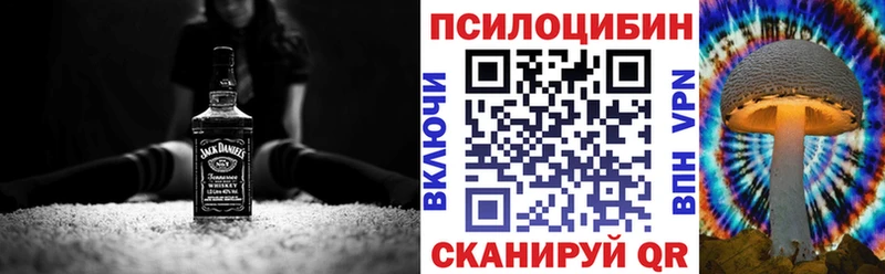 Псилоцибиновые грибы мицелий  Купить где  Гуково 